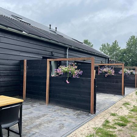 Cozy Holiday Home In Vrouwenpolder Close To The Beach Exterior photo